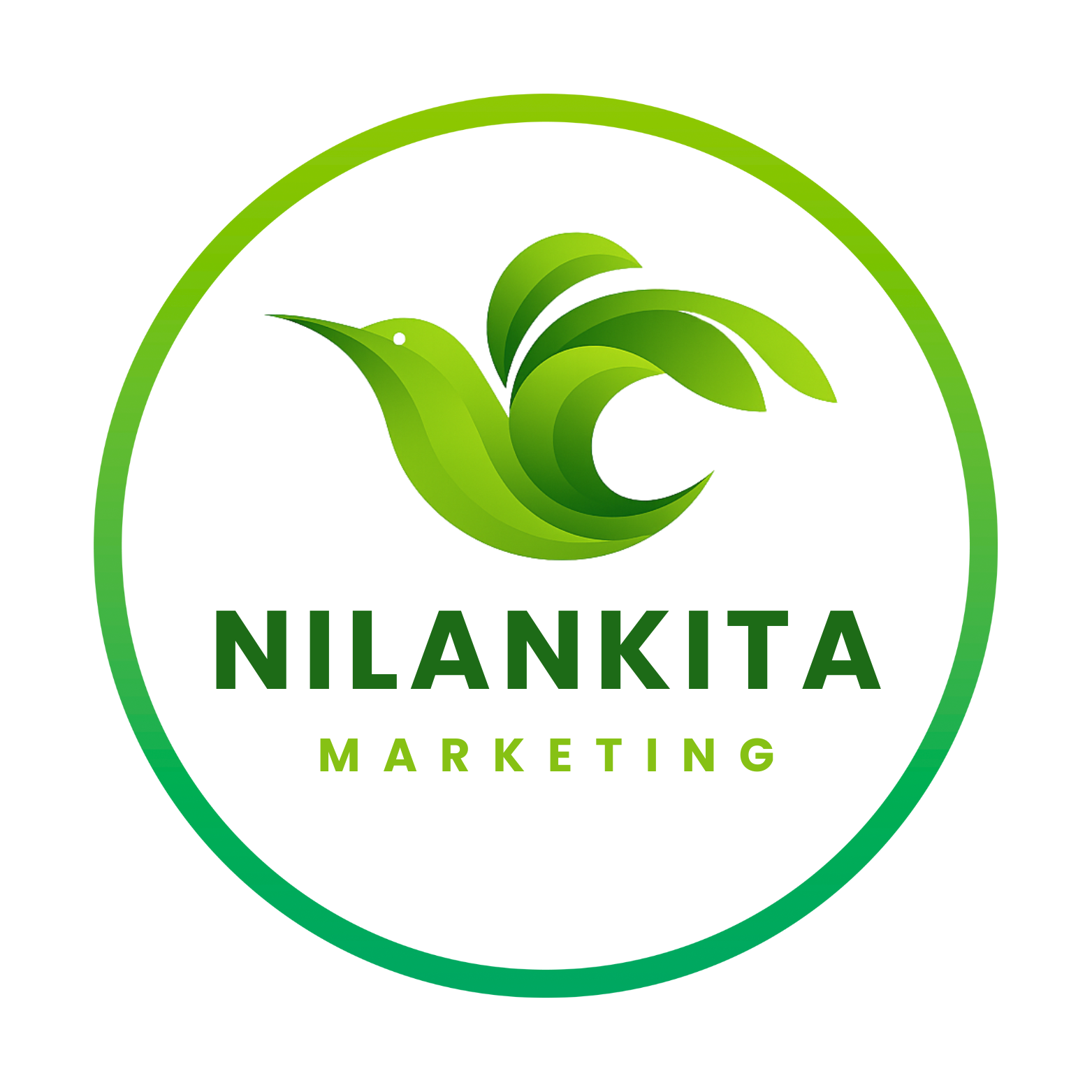 digital Marketing free coure or service